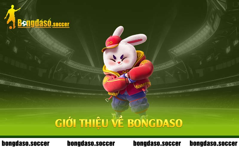 Bongdaso - Hình 1